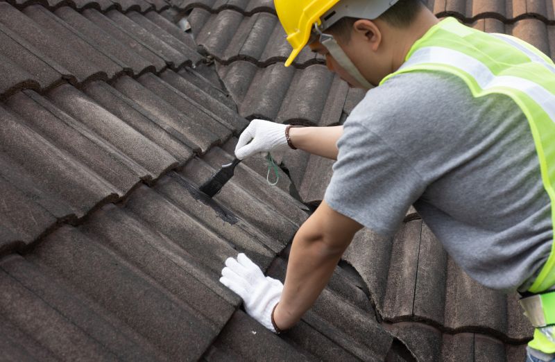 Roofing Service in Action